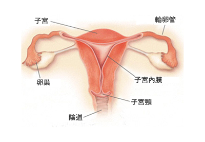 这个女人老中枪,你中了吗?