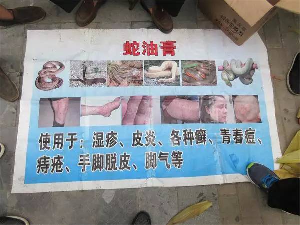 江湖“蛇油王”在怀来栽了