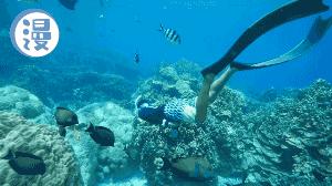 全智贤李敏镐蓝色商场购物,李敏镐全智贤倾情演出