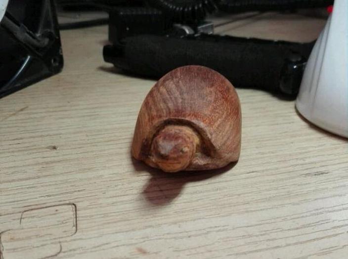 绱獉鍒朵綔涔岄緹,绱獉榫熷３鎵嬪伐鍒朵綔鏁欑▼