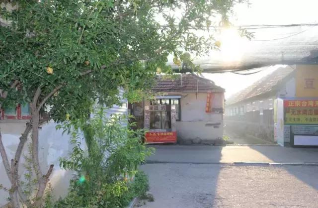 瀹跺湪杩滄柟鐨勫,瀹跺湪娴烽槼