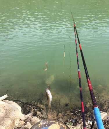 玩单反穷三年,钓鱼穷三年单反毁一生为什么