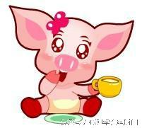 你最喜欢哪一种动物,选择一种动物看出你的性格