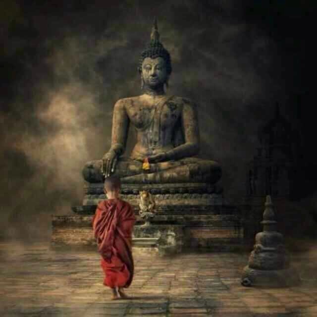 放生是伪善,刻意放生真的是行善吗