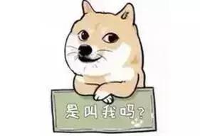 你拖厦门平均月薪的后腿了吗,你拖年轻人后腿了吗