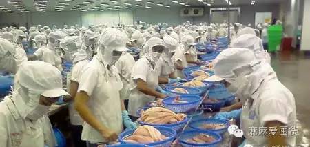 别买错了这9种鱼最适合宝宝吃,什么鱼适合宝宝吃没有刺