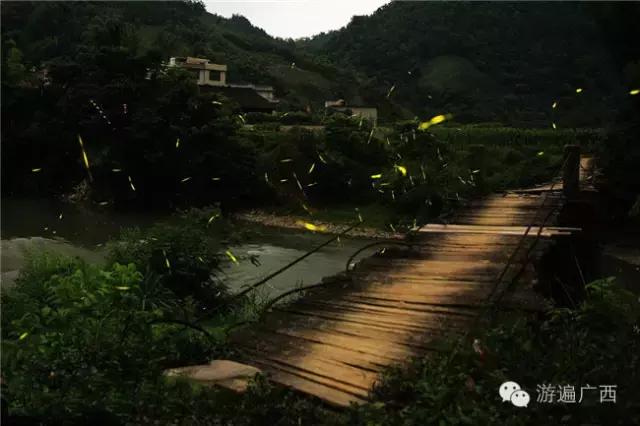 广西乐业出现神秘萤火之光，堪比美国大片！