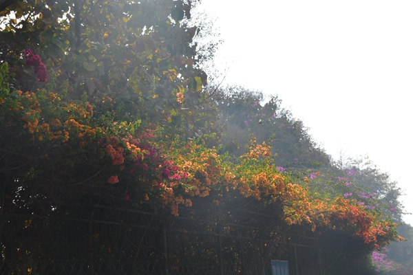 云南人必点的一道菜,云南的一道重口味美食