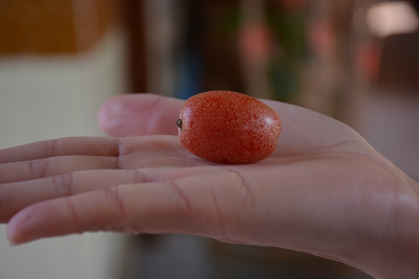 云南人必点的一道菜,云南的一道重口味美食