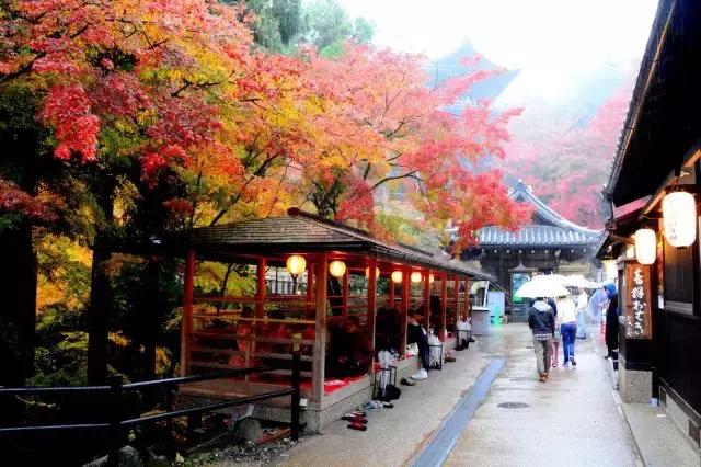 在日本抽到凶签怎么化解,在日本寺庙抽到凶签怎么化解