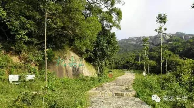 南澳海岛国家森林公园,黄花山------最美天然氧吧
