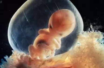 欧米伽3的别名又叫什么,欧米伽3哪里出的