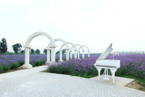 北京情侣约会必去的地方top10,北京情侣约会的最佳地