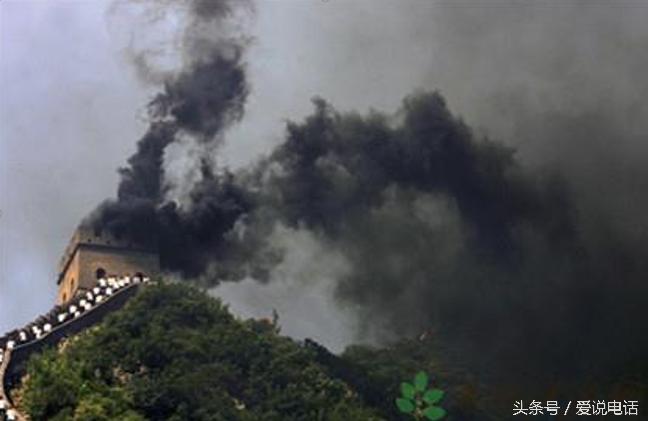 飞鸽传书为什么鸽子知道目的地,飞鸽传书怎么传到电脑