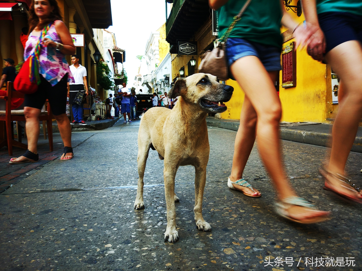 一机走天下特斯拉前高管为你揭密哥伦比亚