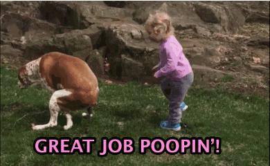 第一次养狗6大误区不能犯,刚养狗的你