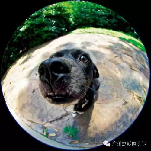 鱼眼镜头拍摄技巧,摄影镜头各种焦距