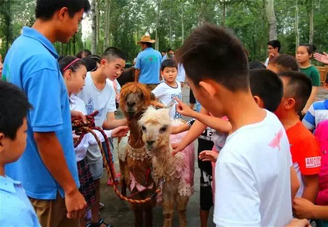 晚上注定是个不平凡的夜晚铃声,这个夜注定要不平凡
