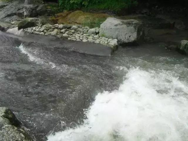 逍遥游三清山,三清山逍遥谷两天一夜游