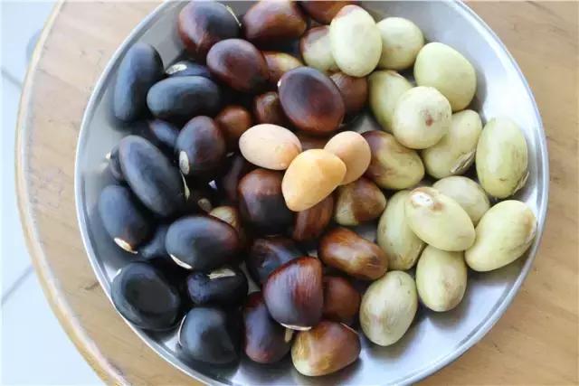 清远人,这种叫“频婆”的果子你还记得吗?