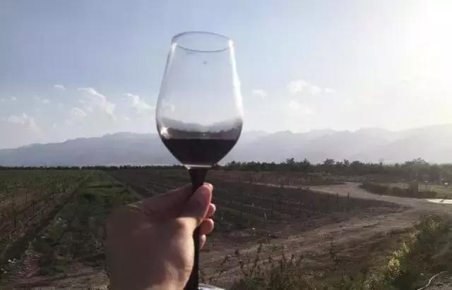 閭ｄ簺鍧愭嫢鍗冧竾閰掑簞鐨勬槑鏄熶滑,鍝簺鏄庢槦涔颁簡娉曞浗閰掑簞