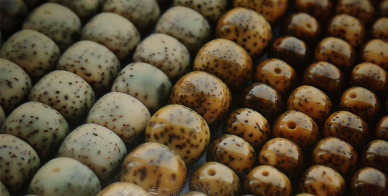 星月菩提阴皮值得玩吗,星月菩提阴皮能盘红吗