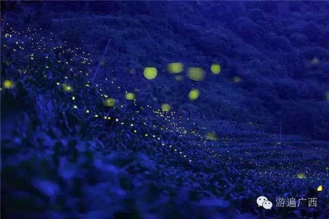 广西乐业出现神秘萤火之光，堪比美国大片！