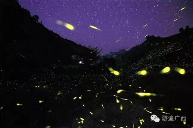 广西乐业出现神秘萤火之光，堪比美国大片！