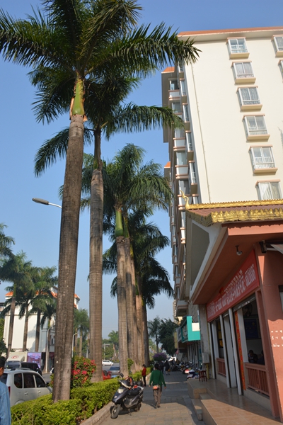 云南人必点的一道菜,云南的一道重口味美食