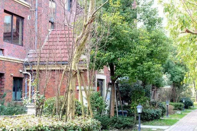 青浦旭辉玫瑰湾别墅,青浦区旭辉玫瑰湾