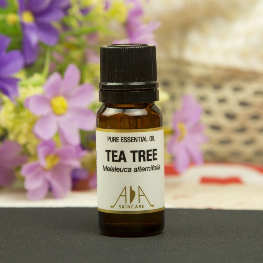 初学者美妆必备神器推荐,适合初学者的美妆产品推荐