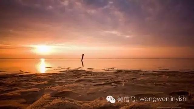 心脏术后鸡胸怎么办,鸡胸手术失败原因