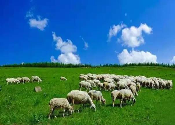 承德丰宁和围场哪个好玩,承德丰宁和承德围场