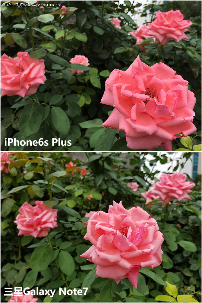 问鼎7.2测评,三星note7至尊纪念版评测