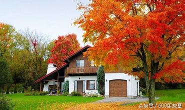 最新各国签证信息汇总列表请查收,2019各国签证政策