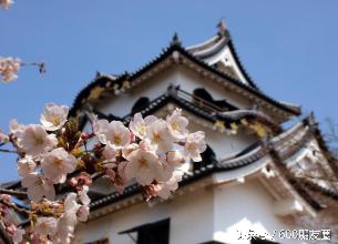 最新各国签证信息汇总列表请查收,2019各国签证政策