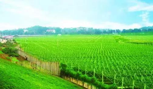 长沙农家乐玩的地方推荐,长沙50元一天包吃住农家乐