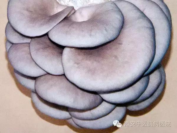 中医中的抗生素有哪些,中医专家推荐的消炎药