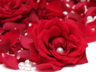 绚烂如花的女性,女人如花绚丽多彩