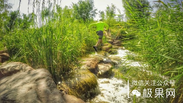 如何选择一双越野跑鞋,越野跑穿的跑鞋