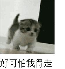 女粉丝送华晨宇兰博基尼,粉丝送华晨宇生日礼物排第几