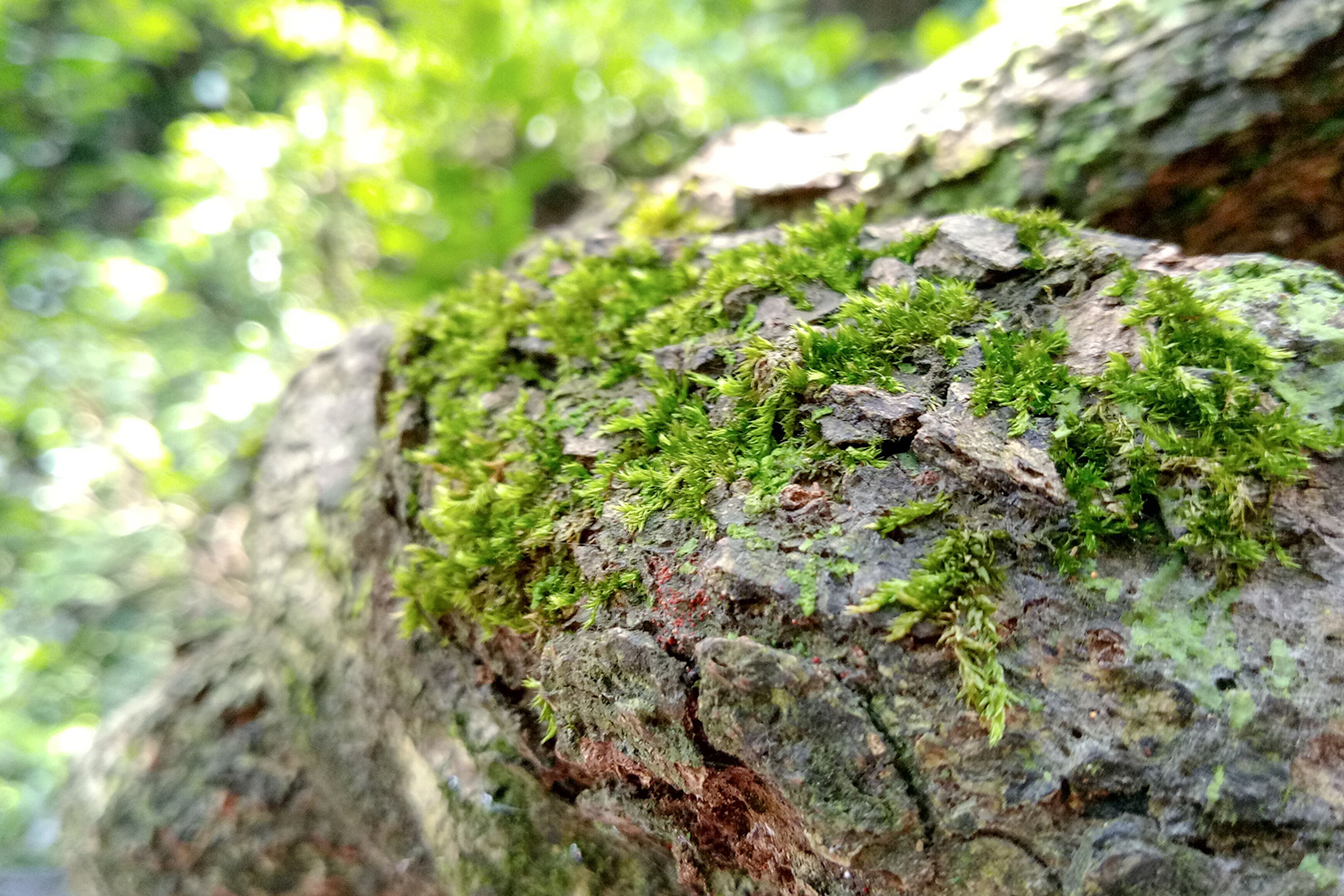 金立m6s深度测评,金立m6实用功能