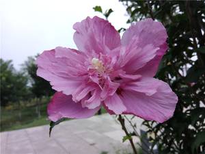 360n4s手机详细测评,360n4s骁龙版评测