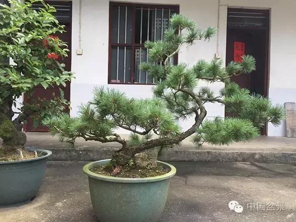 相识满天下知己有几人谁说的,相识满天下知己无一人出处