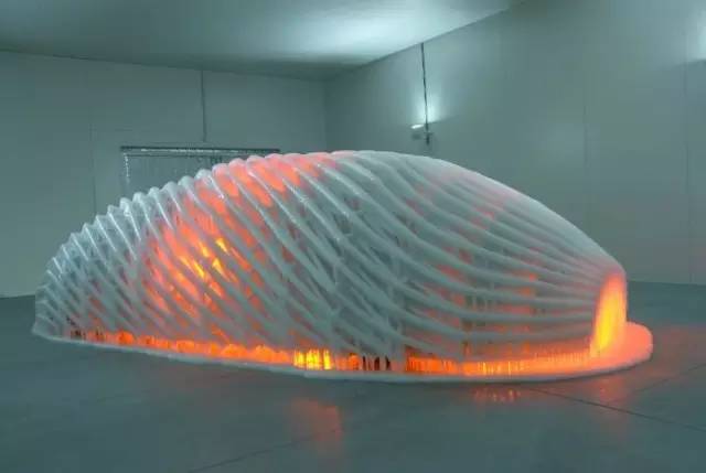 王思聪买不了的车,王思聪都买不起的奔驰