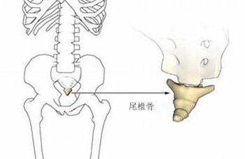字里藏医怎样,字里藏医解读