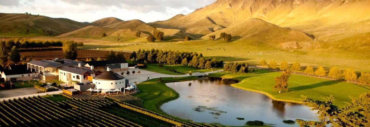 老中医蜂蜜系列,老中医秘制蜂蜜