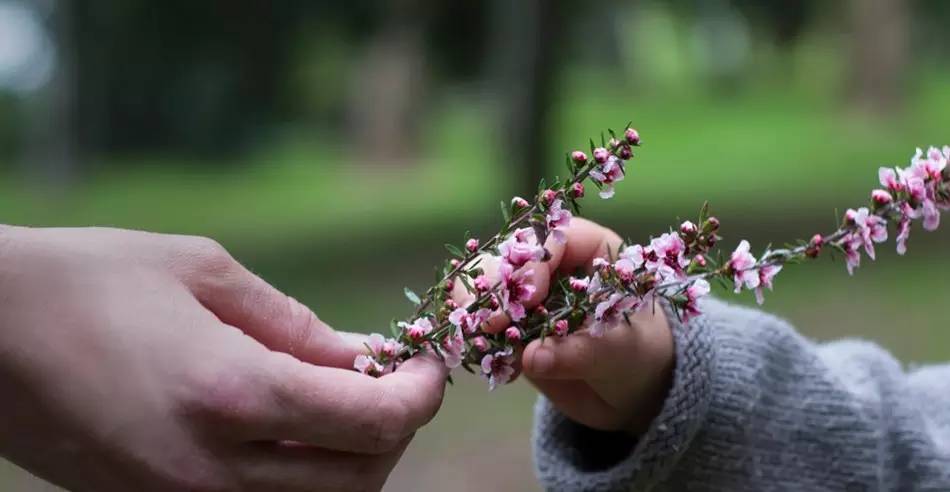 老中医蜂蜜系列,老中医秘制蜂蜜
