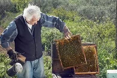 老中医蜂蜜系列,老中医秘制蜂蜜