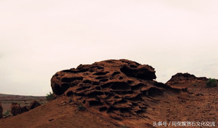 新疆拾石攻略,史上最全南疆戈壁捡玉石地点